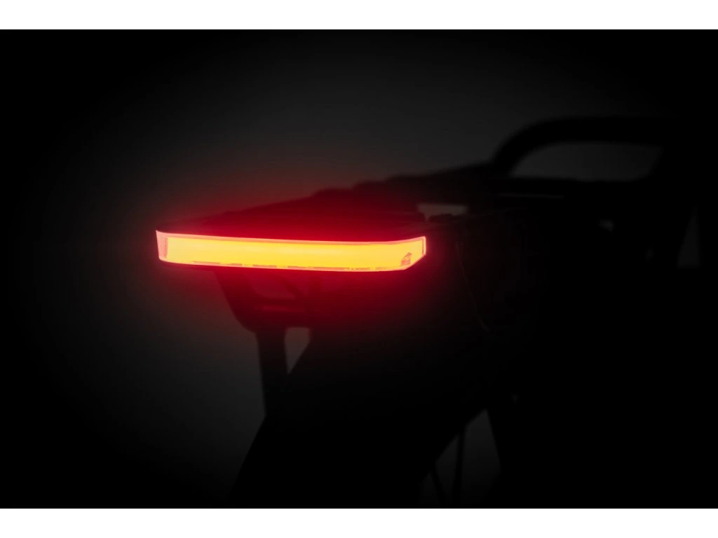 Levit Beleco 1 Dames - Afbeelding 6