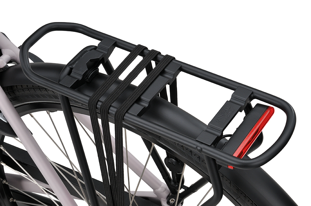 Batavus Fonk 7 Dames 2026 - Afbeelding 9